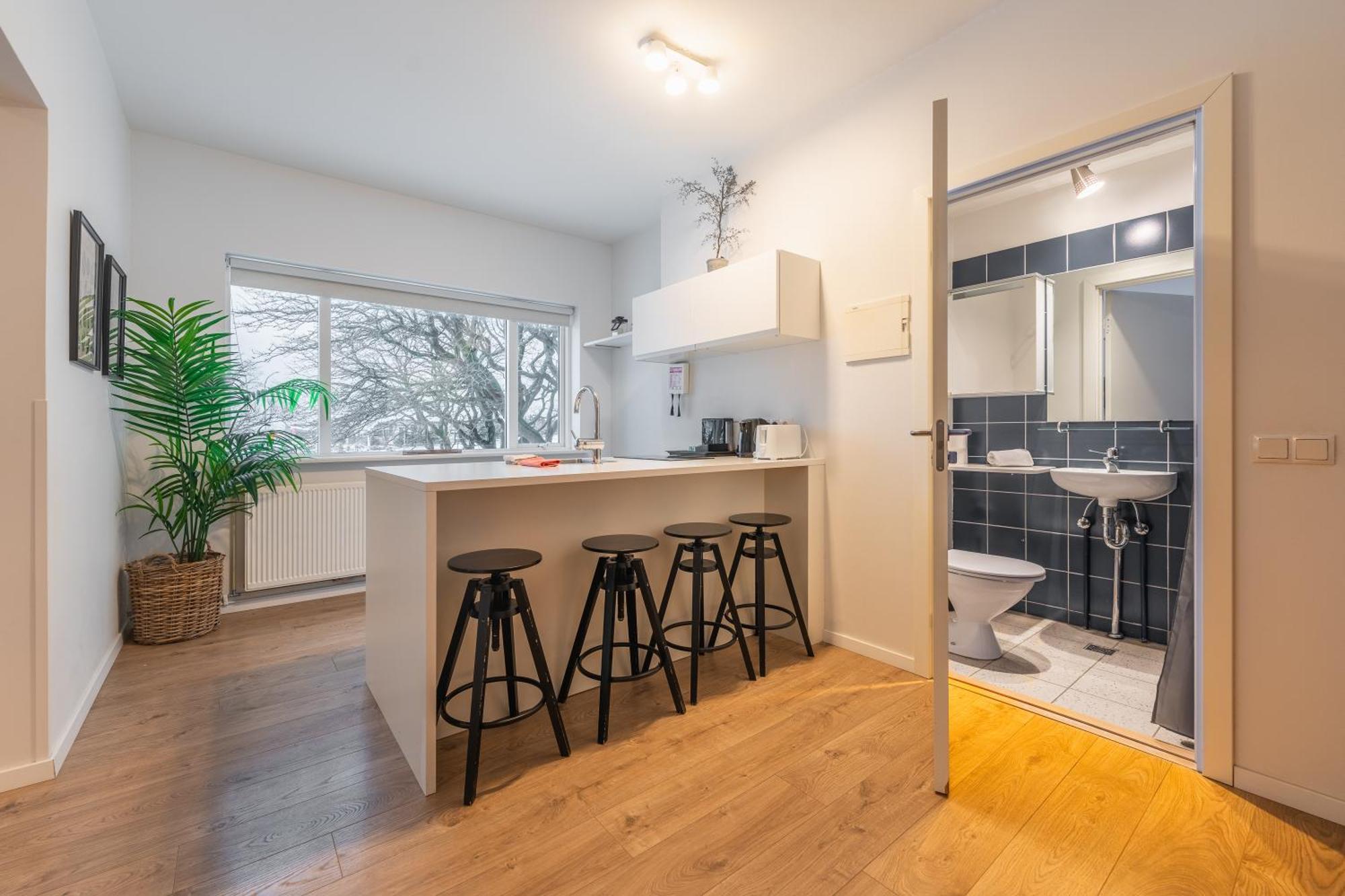 Day Dream Soleyjargata Rooms & Apartments Ρέυκιαβικ Εξωτερικό φωτογραφία